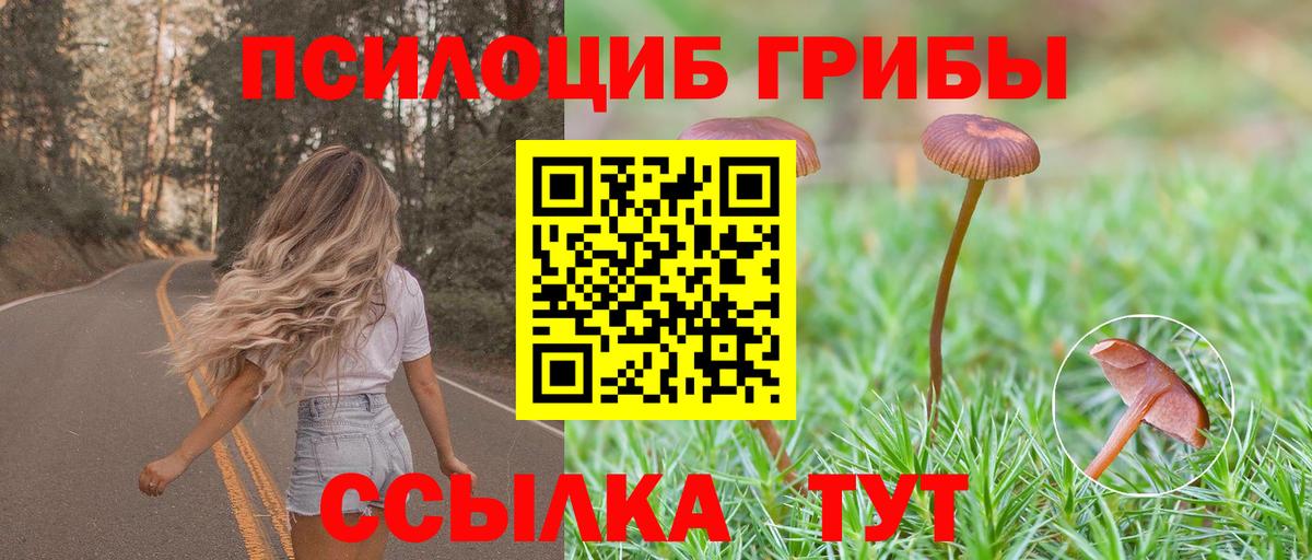 Псилоцибиновые грибы MAGIC MUSHROOMS Сергиев Посад