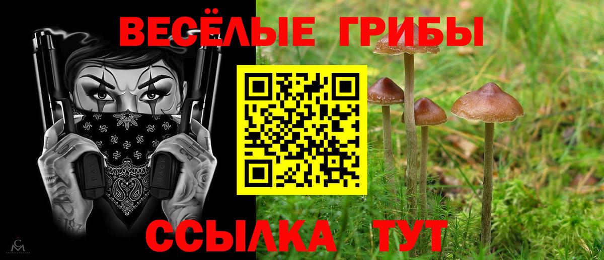 Галлюциногенные грибы GOLDEN TEACHER  Вход с VPN  Сергиев Посад 